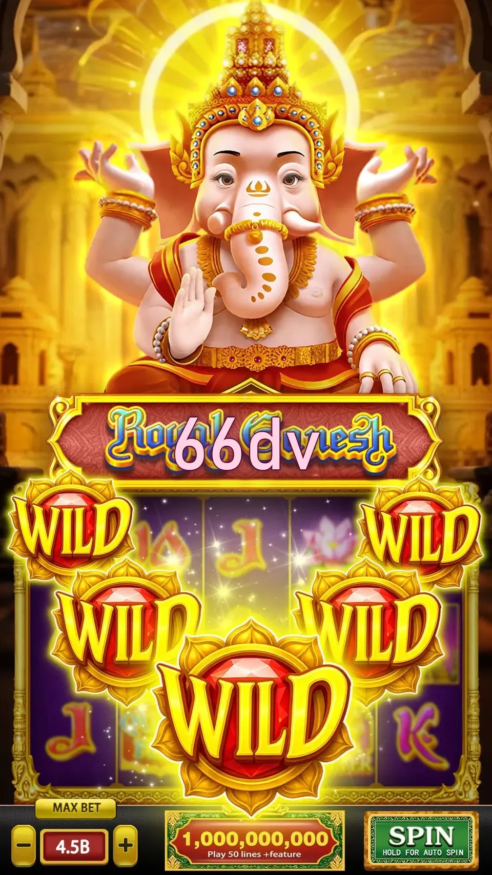 66dv Login